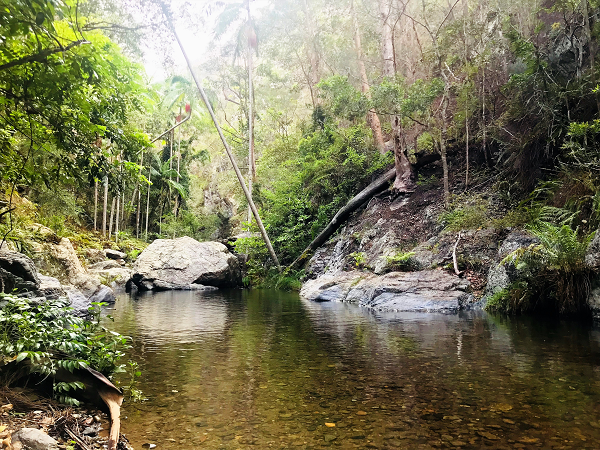 Northbrook Gorges swimming hole