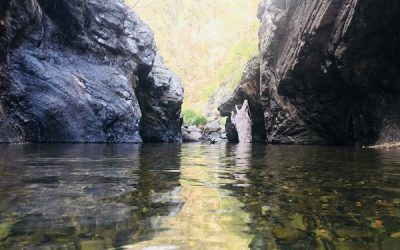 Northbrook Gorge Hiking Track – Swimming & Hiking in Brisbane