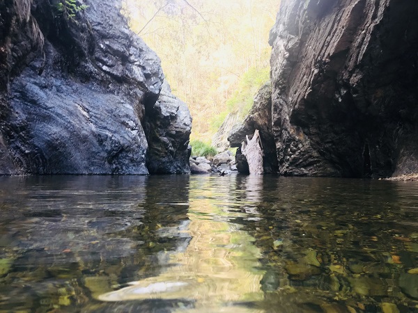 Northbrook Gorge, Dundas, Brisbane QLD