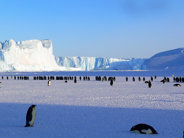 Antarctica Travel Tips